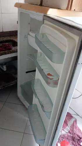 Geladeira 150 dispenso curiosos