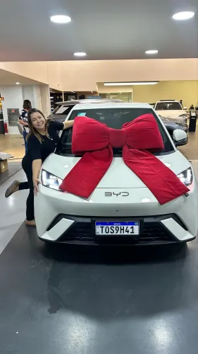 BYD Dolphin Mini (Elétrico) 2027