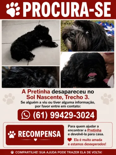 Procura-se 