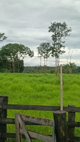 Vendo essa propriedade muito boa pa açaí criação de peixe criação de gado próximo BR316