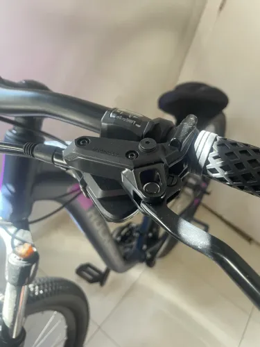 Bicicleta Feminina