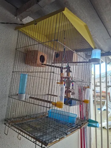 Gaiola grande completa