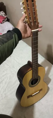 Viola Giannini raiz elétrica