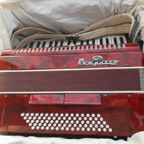 Acordeon/sanfona