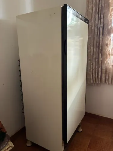 Freezer vertical