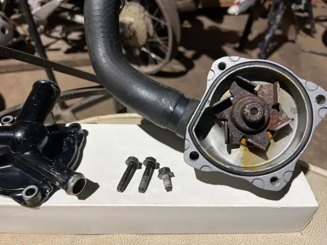 Bomba água Honda CBR 900 rr