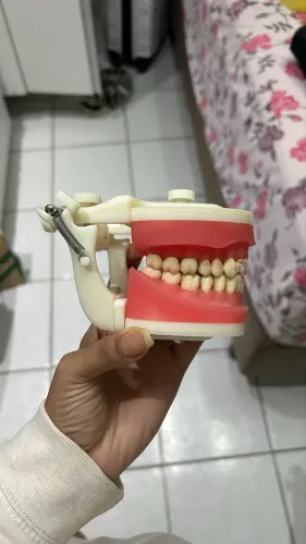 Manequim Pronew odontologia semi-novo