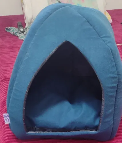 Caminha para pet de pequeno porte Nova.