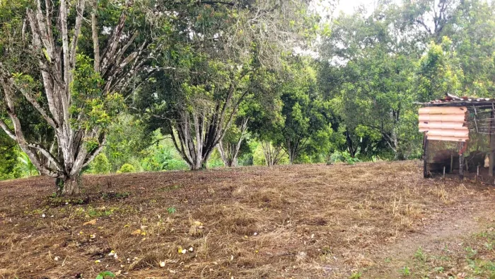 Vendo excelente sítio produtivo no município de Valença 