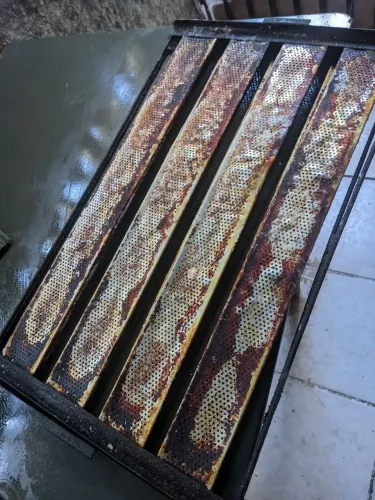 Telas de 4 tiras para pão francês