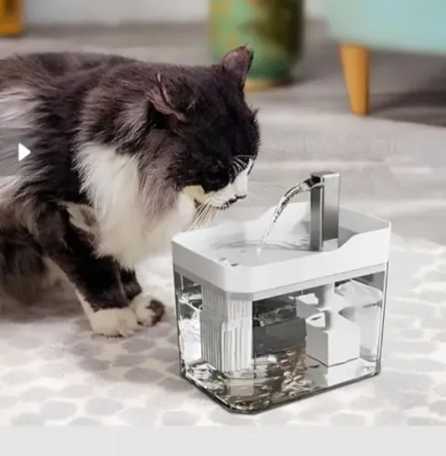 Bebedor com bomba de agua para gatos
