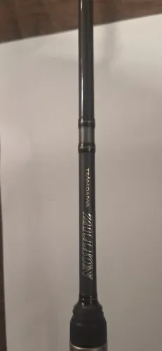 Vara Team Daiwa Zillion 6.6 pés 25 libras