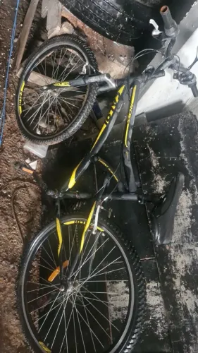 Bicicleta