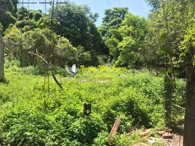 Área para Venda em Belford Roxo, Sitio Retiro Feliz