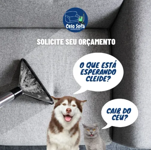 Lavagem a seco alta qualidade