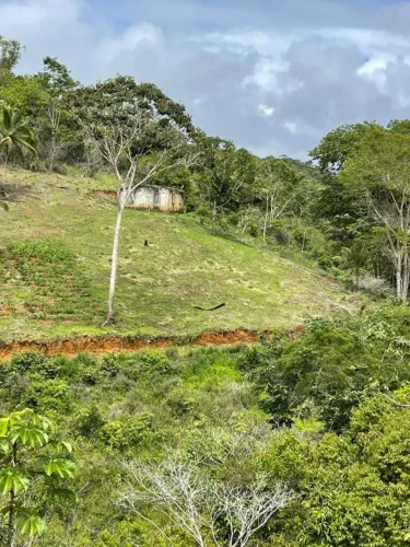 FAZENDA COM 28 HECTARES, PRÓXIMO À ZONA URBANA DE ILHÉUS!