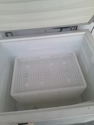 Bandeja para congelar salgados