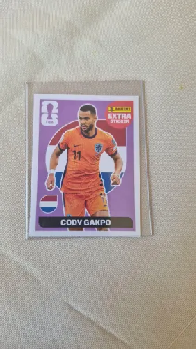 Cody gakpo regular