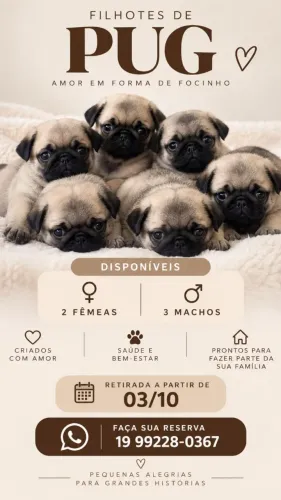 PUG