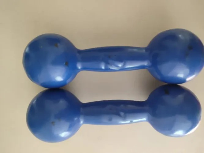 Halter 2kg