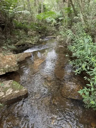 Terreno de 6,5 hectares  na Serra de Carrancas, com vista deslumbrante.
