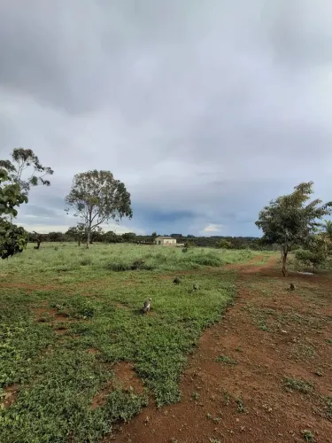 Vendo chacara 2 hectares na Ponte Alta DF 290 entrada no clube caiçaras