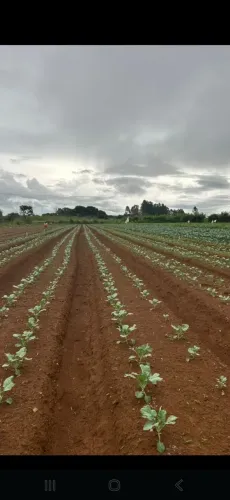 Empregado Rural