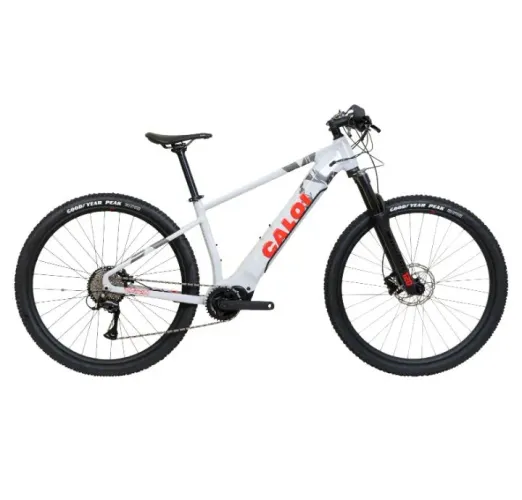 Bike elétrica