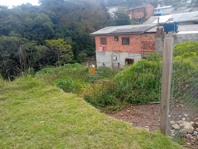 Venda - Terrenos - Esplanada - Caxias do Sul - RS
