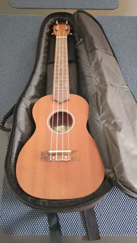 Ukulele Concert Strinberg Modelo UK-06C