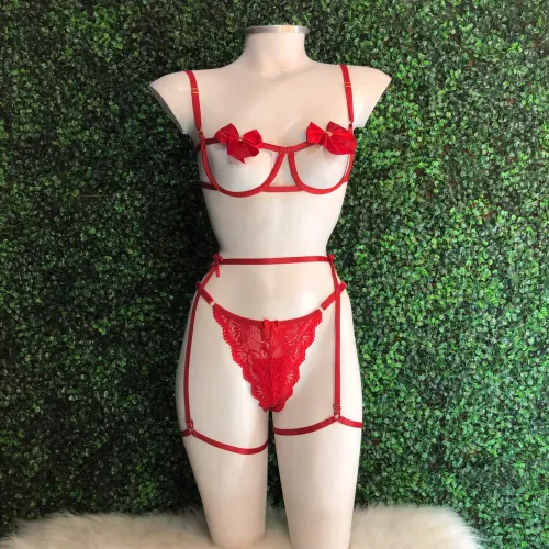 Conjunto Deusa c/ Cinta Liga- TAMANHO P e M