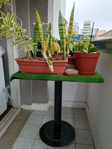Mesa pé de ferro e tampo madeira