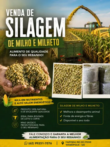 Silagem