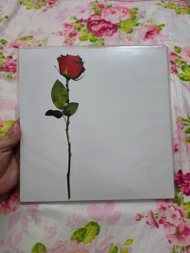 Vinil Duplo AUTOGRAFADO Thirty Seconds to Mars - A Beautiful Lie 20º Aniversário