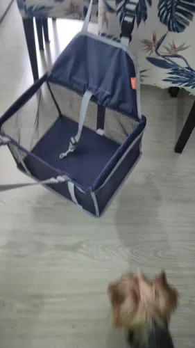 Cadeirinha para cachorro usar no carro
