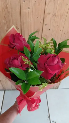 Floricultura *