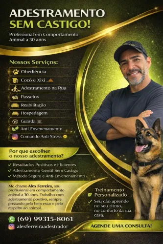 Adestrador Para Cães 