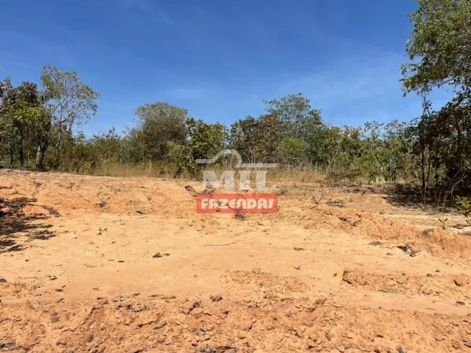 Arrendamento para Lavoura Torixoréu-MT / 1.700 hectares (plantio de soja)
