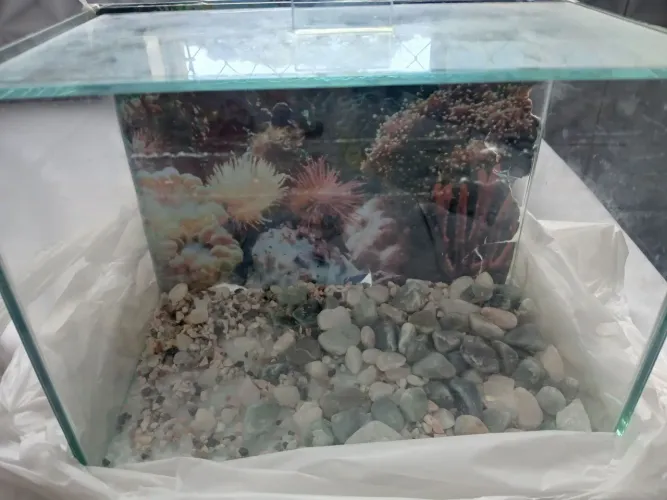 Aquário Para Peixes