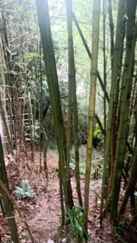 Terreno- Petrópolis, Valparaíso