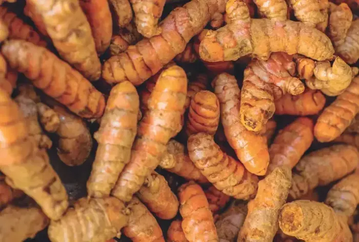 Curcuma -Açafrão