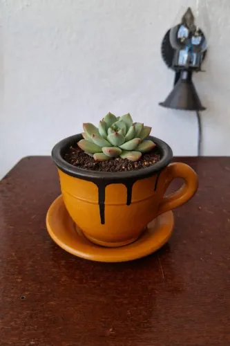 Vaso de cerâmica modelo xícara bolo