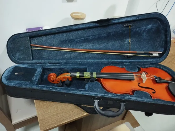 Violino Vivace Usado