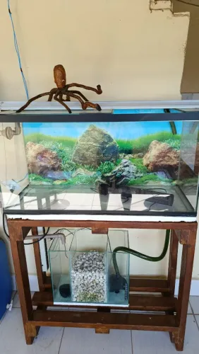Aquário 200l com sump