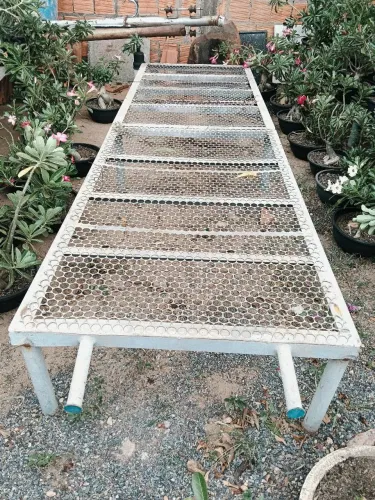 VIVEIRO de plantas completo
