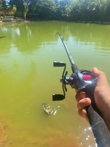 Kit de pesca para pesqueiros