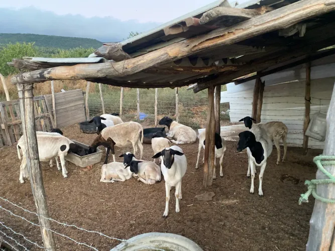 Sítio a venda na cidade do Crato