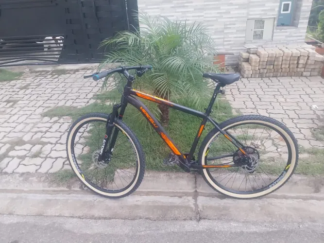 Bike aro 29