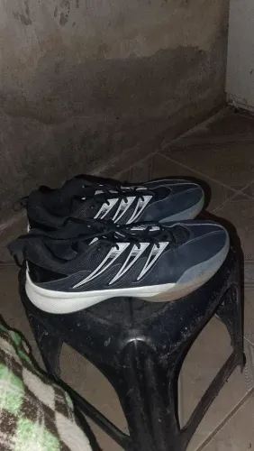 Adidas Dame certified 3 
