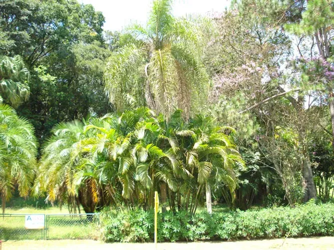 Terreno em Condomínios em Itu